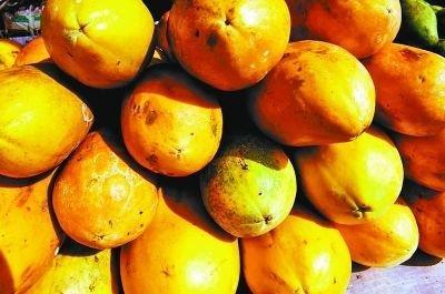广东番木瓜市场销售约40%都是转基因产品