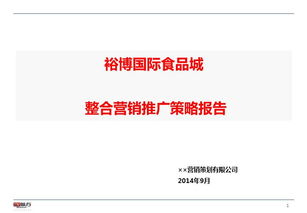 国际食品城整合营销推广策略报告96页